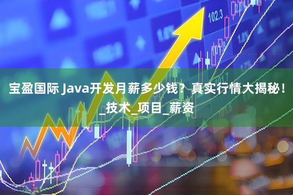 宝盈国际 Java开发月薪多少钱？真实行情大揭秘！_技术_项目_薪资